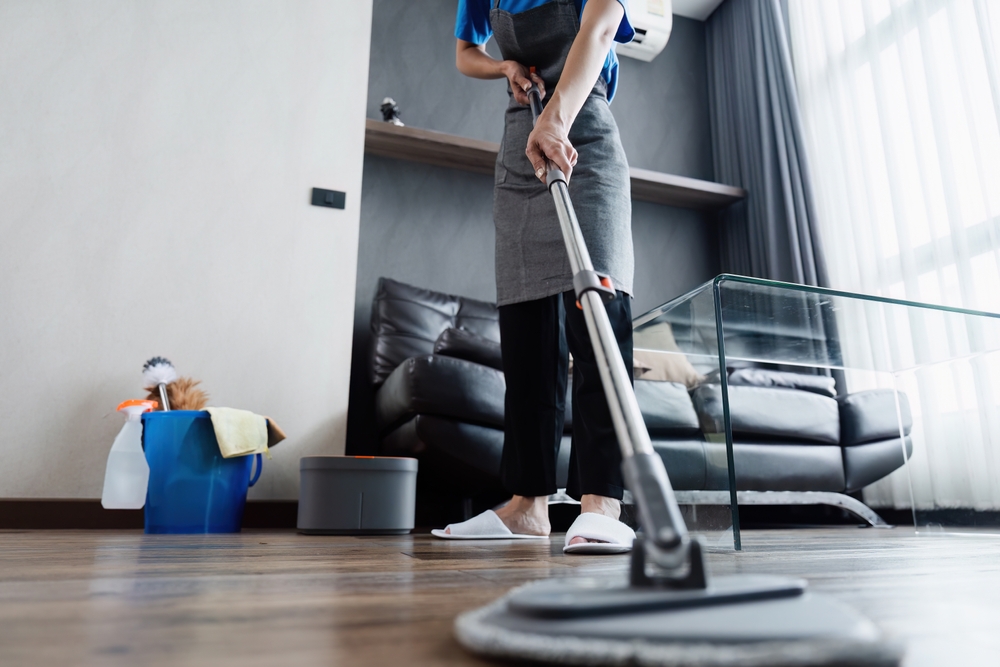 Royal Cleaning Services preview
